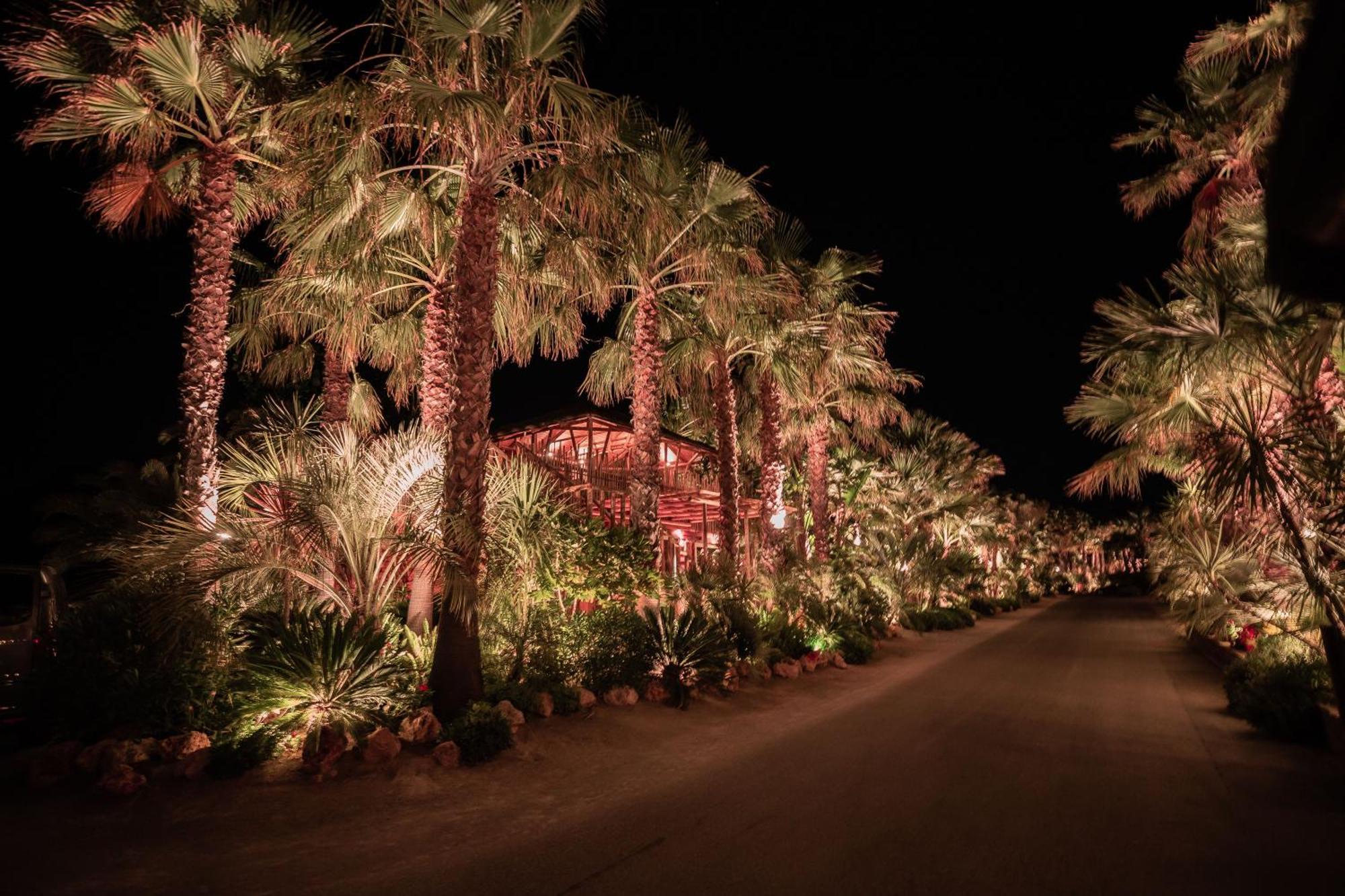 Toison D'Or Hotel Ramatuelle Ngoại thất bức ảnh The Desert Botanical Gardens at night