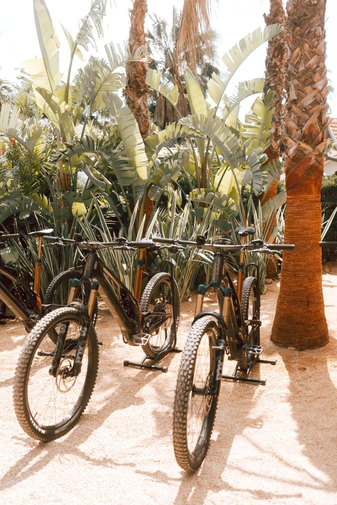 Toison D'Or Hotel Ramatuelle Ngoại thất bức ảnh Bicycles at the Desert Botanical Gardens